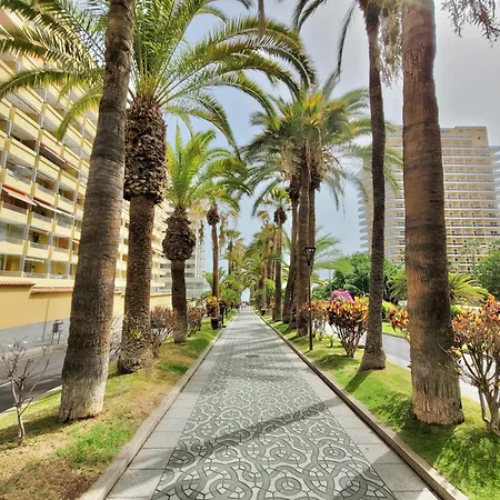 Apartment Terrace - Only Adults - *